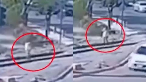 ¡De terror! Mujer muere luego de ser arrollada por el tren en Nuevo León