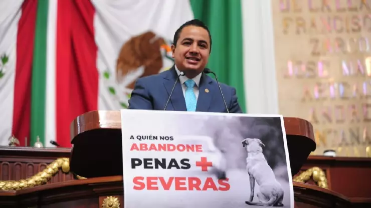 mascotas penas cdmx maltrato abandono