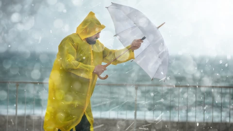 Durante el 03 de febrero se esperan fuertes vientos y lluvias