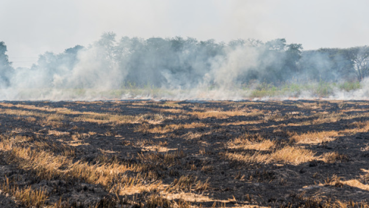 quemas-agricolas.png