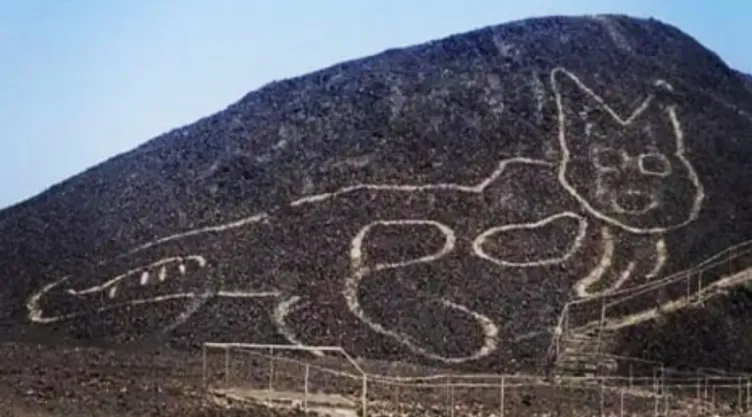 Gato en las Líneas de Nazca