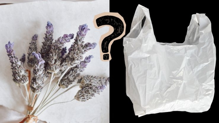 Cubrir una ramita de lavanda con plástico por qué lo recomiendan y para qué sirve.png