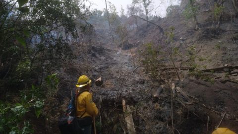 Combaten incendios en Veracruz.