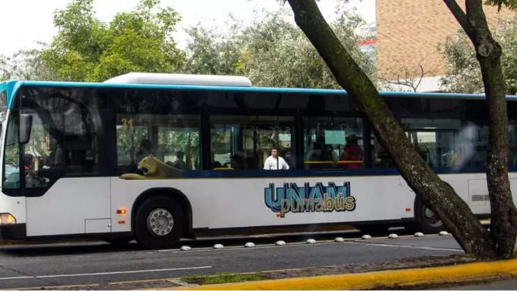 El Pumabús reanuda servicio en Ciudad Universitaria