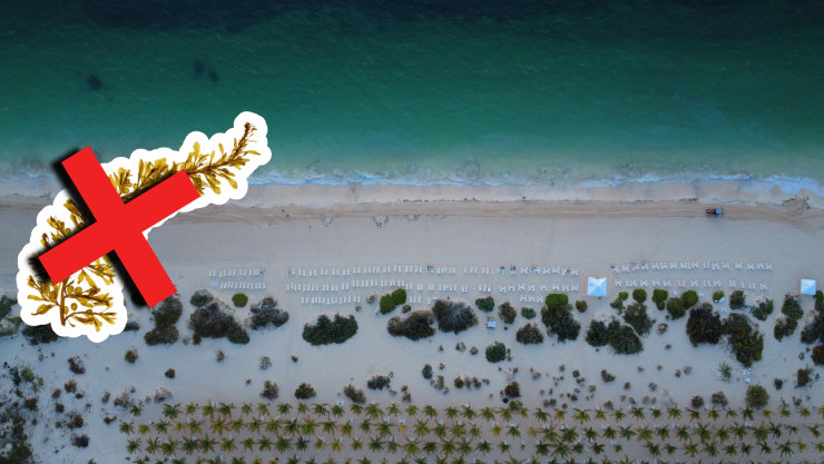 Playas libres de sargazo en Quintana Roo HOY 1 de septiembre de 2025_ Lista desde Holbox, Cancún, Tulum a Xcalak.jpg