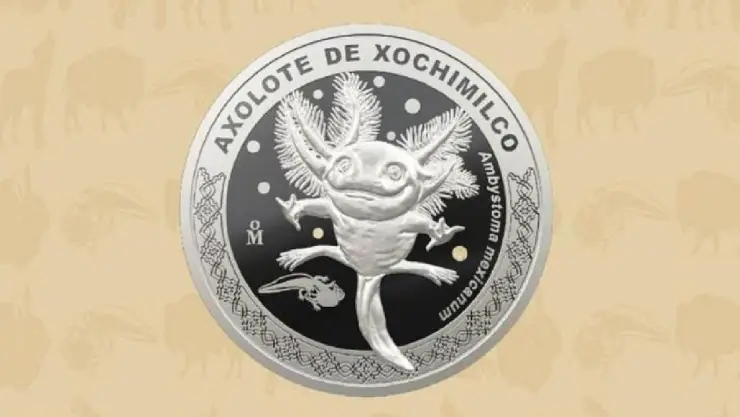 Moneda del ajolote: ¿Cuánto cuesta y dónde comprar la valiosa moneda?