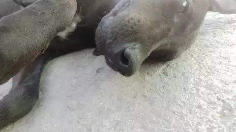 dad8ff6d-8ce0-46f8-bf89-43cd3138335d.jpe