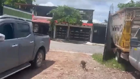 recuento de daños por sismo en Colima