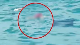 Encuentran cuerpo sin vida FLOTANDO en altamar frente a Río Lagartos y se da aviso a la policía; esto es lo que se sabe al respecto