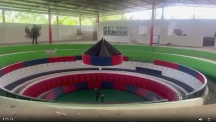 masacre-ecuador-capturados-ataque-pelea-gallos-video