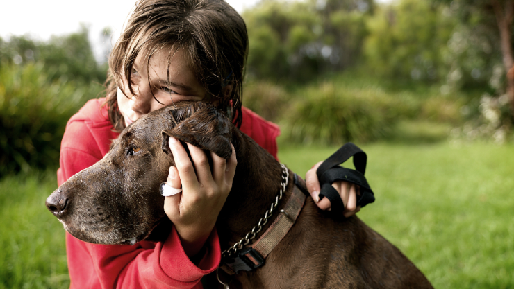 Los científicos respondieron al cuestionamiento del por qué los perros más grandes viven menos que los más pequeños.