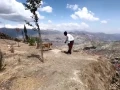 Ambos han encontrado consuelo en la presencia del otro durante estos tiempos difíciles. “Cano” sabe comportarse cuando los pasajeros suben al taxi y sabe no molestarlos.