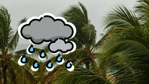 Clima en Cancún hoy_ Pronóstico del tiempo 23 de enero de 2025.jpg