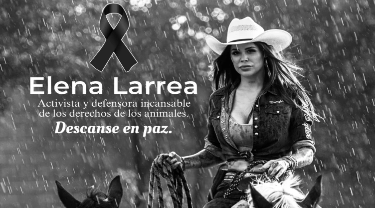 Muere-Elena-Larrea-activista-y-fundadora-de-Cuacolandia