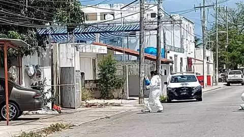 Un joven perdió la vida al electrocutarse en Cancún cuando baja mangos de un árbol
