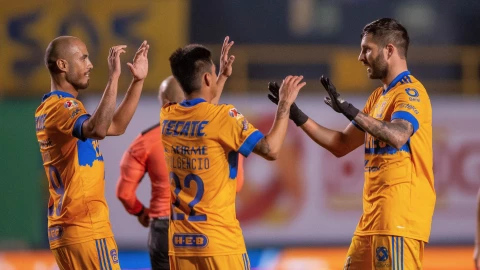 Tigres