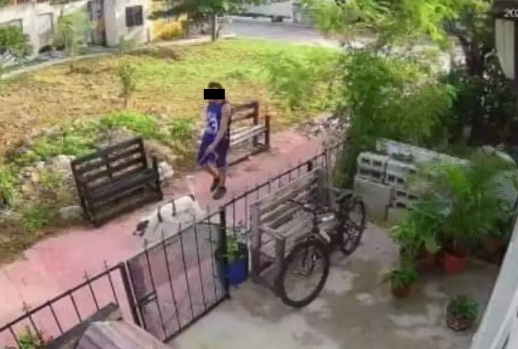 Abandono animal en Yucatán_ Acusan a sujeto de dejar amarrado a su perro