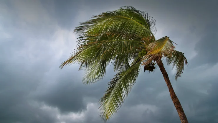 En la temporada del 2018 se podrían observar alrededor de 15 tormentas tropicales, siete huracanes y tres huracanes importantes, dijeron científicos del University College London