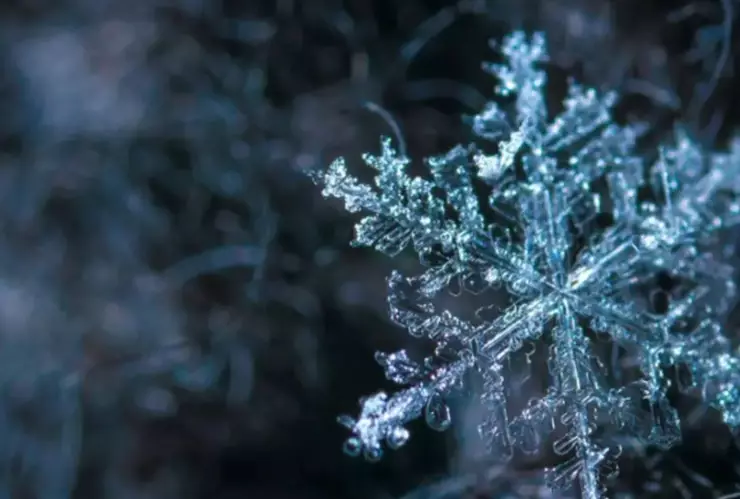 Temperaturas mínimas bajo cero afectarán a Puebla hoy martes: Mapa de zonas en riesgo