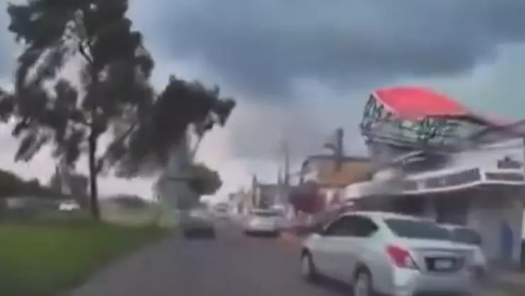 Cae espectacular sobre una vivienda tras fuertes vientos