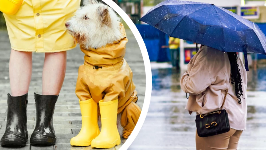 Lluvias sorpresivas en Tijuana: ¿qué nos depara el clima este martes 3 de junio?