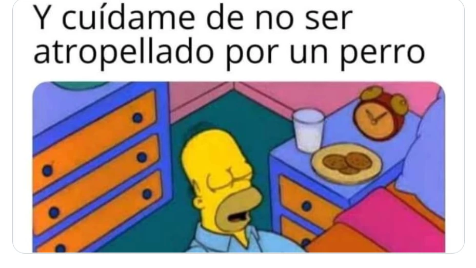 perrito_memes