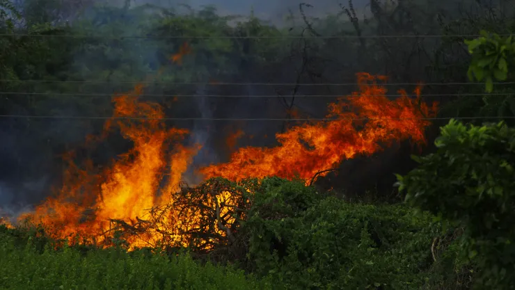 ONU advierte sobre el fenómeno de El Niño y sus posibles efectos