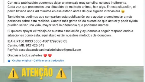 VIDEO: Captan a menor intentando ahogar a un perrito durante 40 minutos antes de lograr ser rescatado
