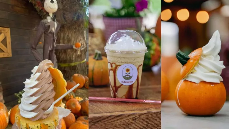 CAFETERÍA EN LA RUTA DEL MAÍZ 2024