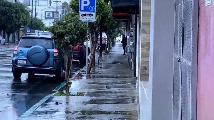 Matan a mujer y a un perro en zona centro Tijuana.jpg