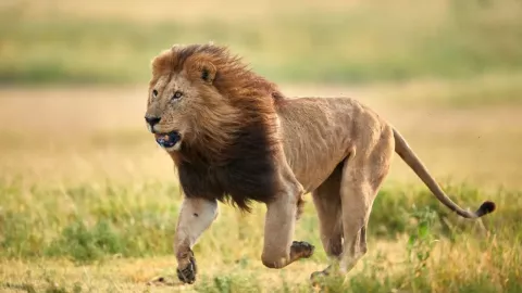 1280 x 720 px (2).jpg