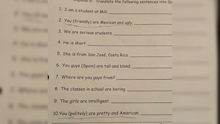 tarea mexicano feo nueva york