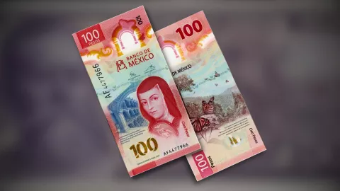 Dan casi 5,000,000 por billete de 100 pesos con error de impresión.jpg