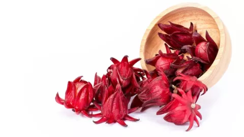 Beneficios de la flor de jamaica