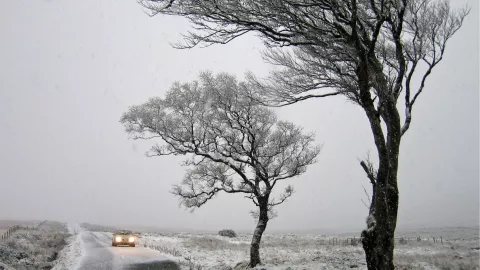 Masa de aire polar 2025 ¿Qué es y cuáles son los efectos que traerá al clima en Aguascalientes