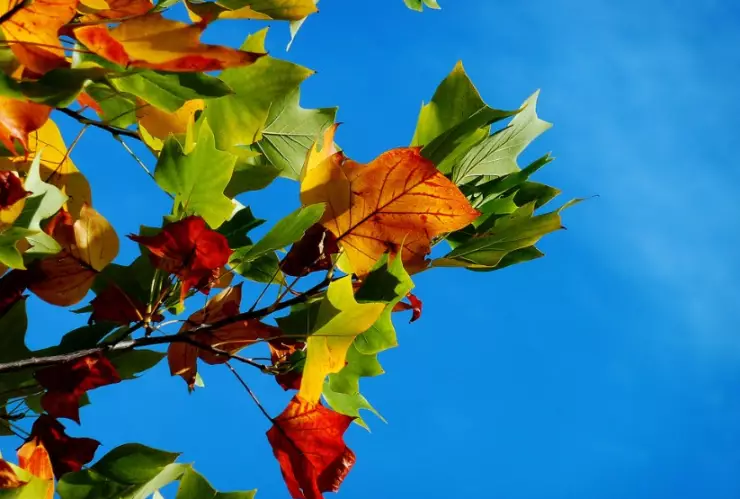 Equinoccio de otoño e inicio de horario de invierno 2022