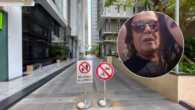 lady estacionamiento.jpg