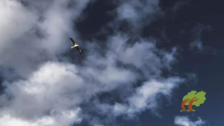 Clima en Aguascalientes hoy: ¿Por qué hace tanto aire? Frente frío 37