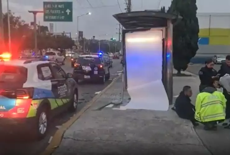 Atropellado Calzada Zaragoza