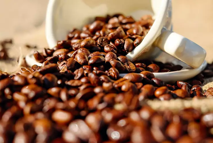 ¡Traigan sus tazas! Hoy 1 de octubre se celebra el día internacional del café