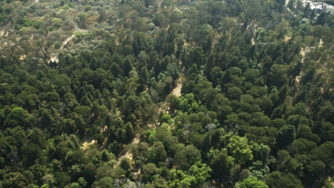 Ejercitarse en la CDMX 5 lugares para hacer deporte al aire libre.