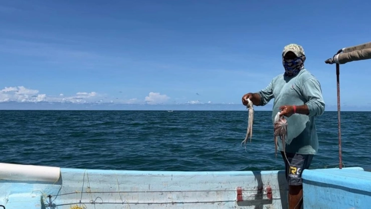 Piratas modernos atacan a pescadores de la costa de Yucatán