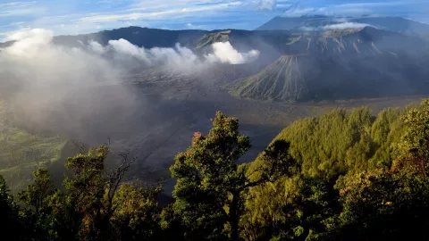 ¿Cuál fue la causa de muerte del joven corredor que murió en la Sierra del Laurel en Calvillo, Aguascalientes