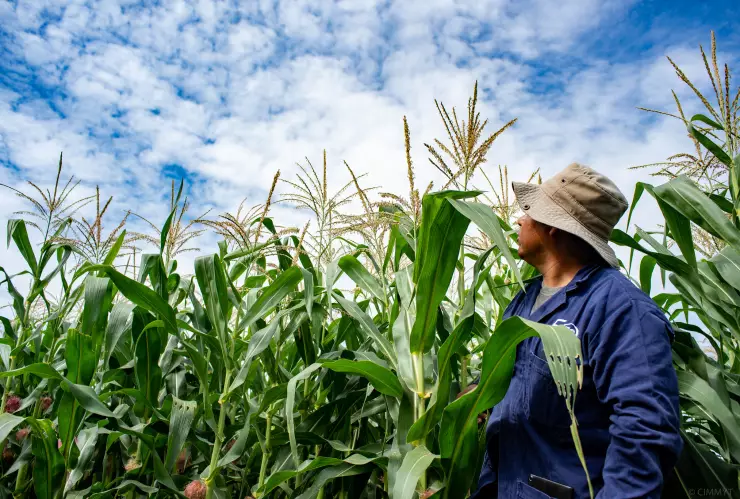 productividad en actividades primarias INEGI