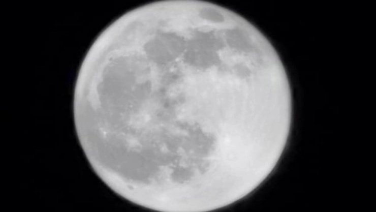 Luna Rosa México 2022