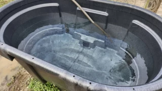 Mujer AHOGA a su sobrina por ser MÁS BONITA que ella; hay tres víctimas más