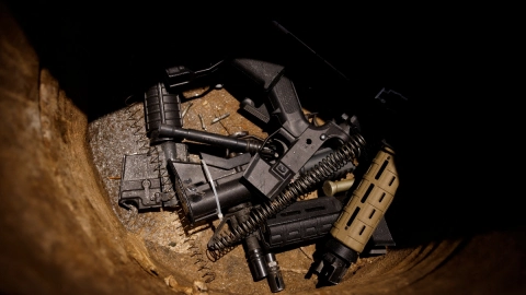 armas nueva york publico