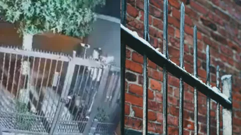 Mujer se atora en reja al tratar de robar casa