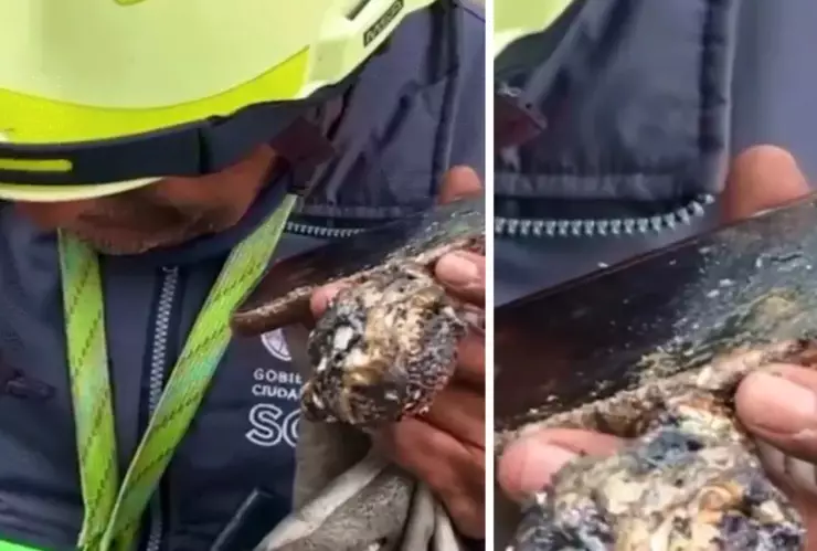 explosión pipa Zaragoza.jpg