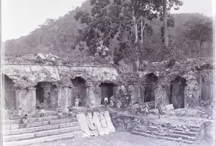 palenque-1891.jpg